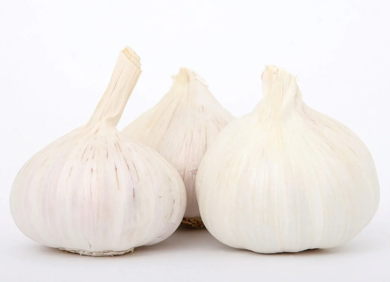 Gardos Rose Garlic Bulbs Caliber 50+ 20KG Bag - Buy Now Online