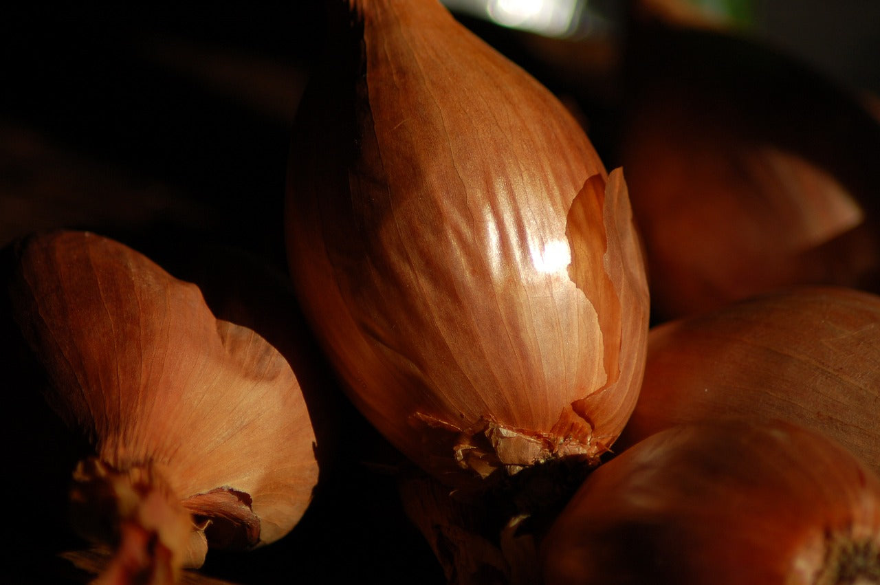 JERMOR Untreated Shallot Bulbs - Size 15/35 - Box of 5 1 KG Bags - Buy Now Online