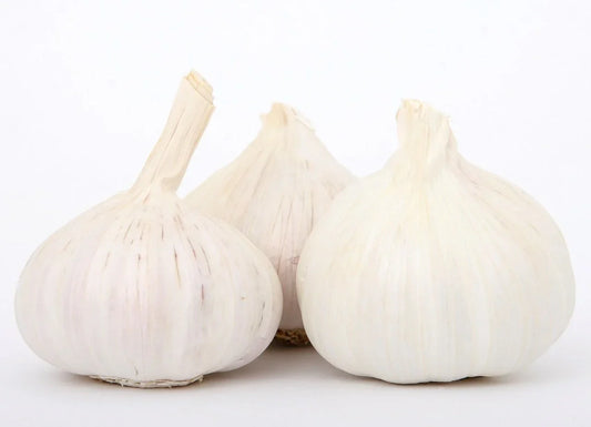 Bulbes Ail Blanc messidor Calibre 60+ Sac de 5 KG - Achat immédiat en ligne